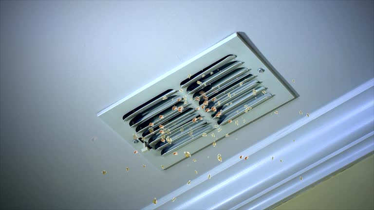 Best Best Air Duct Cleaning Company  in Erie, KS