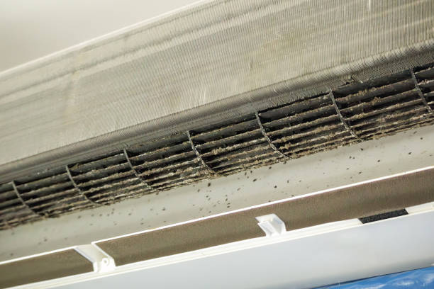 Best Emergency Air Duct Cleaning  in Erie, KS